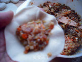 白菜胡萝卜姬松茸肉馅水煮饺子的做法步骤：15