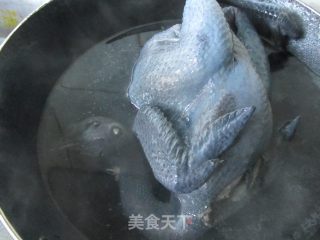 参芪田七红枣乌鸡汤的做法步骤：5