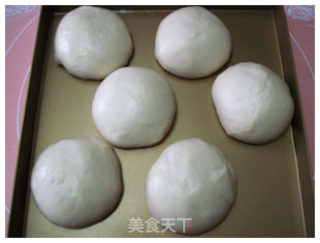 100%中种牛奶吐司的做法步骤：3