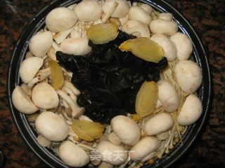 原味鲜菌煲的做法步骤：7