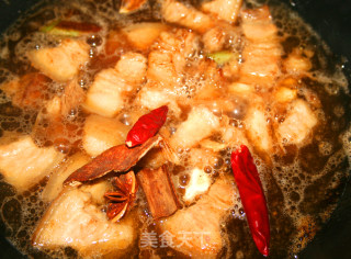 【塔吉锅】【如花美眷】【吃了还想吃的肉肉】雪碧红烧肉的做法步骤：10