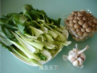 蟹味菇扒油菜的做法步骤：1