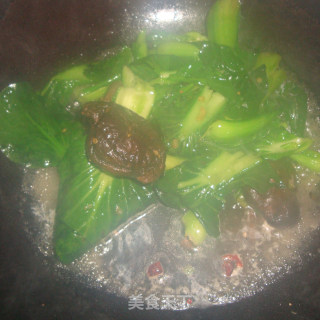 香菇油菜的做法步骤：7