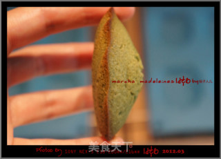 【我的烘焙时间】外星人的小肚肚？---抹茶玛德琳的做法步骤：18
