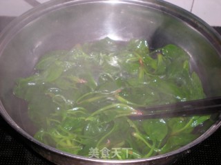凉拌菠菜的做法步骤：5