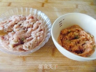 【塔吉锅美食】简单也美味---什锦双色肉丸的做法步骤：8