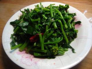 炝炒油菜心的做法步骤：6