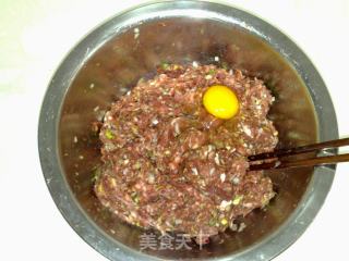 【平淡的幸福】羊肉大葱馅饺子的做法步骤：4