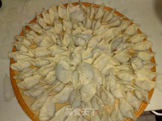 【平淡的幸福】羊肉大葱馅饺子的做法步骤：5