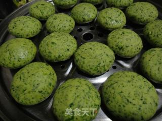 荠菜粑粑的做法步骤：6