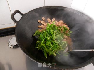双青炒江虾的做法步骤：5