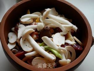 杂菇汽锅鸭的做法步骤：7