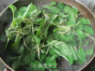 春季时令菜——拌马兰头的做法步骤：4