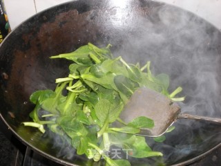 青菜牛肉面的做法步骤：8