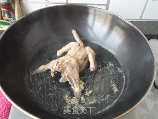 清炖鸽子汤的做法步骤：3