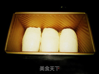 17小时中种的紫薯土司的做法步骤：9