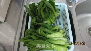 炒油菜海米的做法步骤：6
