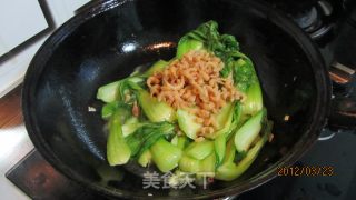 炒油菜海米的做法步骤：10