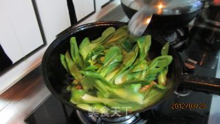 炒油菜海米的做法步骤：11