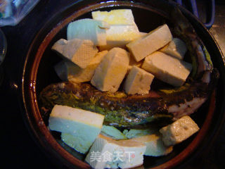 昂刺鱼豆腐煲的做法步骤：4