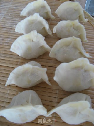 胡萝卜素馅饺子的做法步骤：10