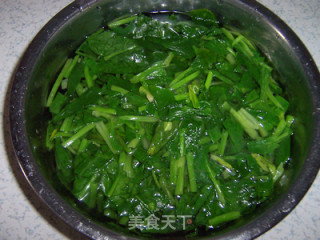 麻辣蒜香菠菜墩的做法步骤：4