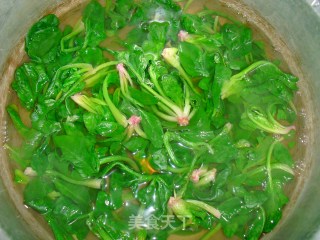 菠菜饼—绿色家园的做法步骤：1