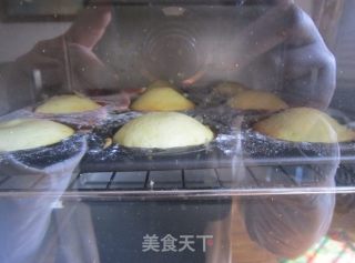 柠香玛德琳的做法步骤：13