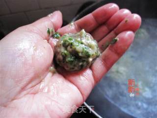 荠菜肉丸子的做法步骤：4