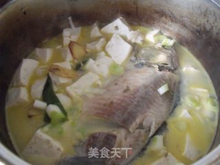 鲫鱼豆腐汤的做法步骤：6