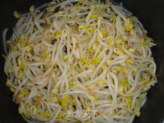 东北豆芽凉菜的做法步骤：5