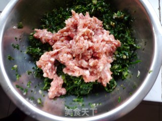 荠菜水饺的做法步骤：7