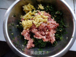 荠菜水饺的做法步骤：8