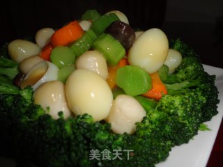 五彩缤纷-----营养总动员的做法步骤：6