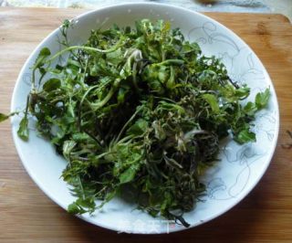 荠菜肉圆菌汤的做法步骤：4