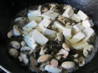 菌菇笃菜豆腐汤的做法步骤：14