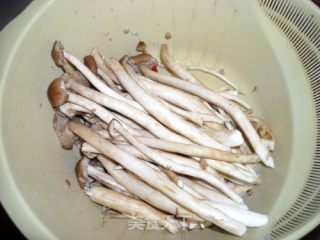 茶树菇炒鸡肉的做法步骤：6