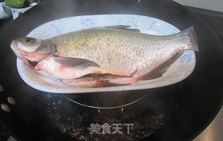 清蒸扁翅的做法步骤：2