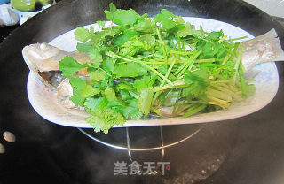 清蒸扁翅的做法步骤：3