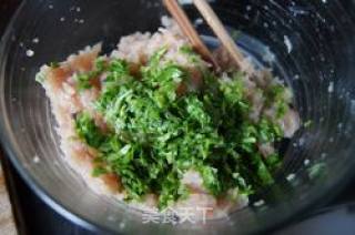 给宝宝的--九节虾芹菜馄饨的做法步骤：5