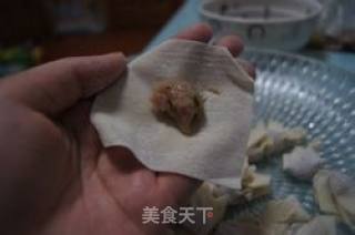 给宝宝的--九节虾芹菜馄饨的做法步骤：7
