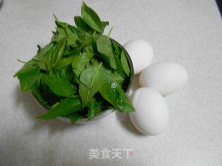 九层塔煎蛋的做法步骤：1
