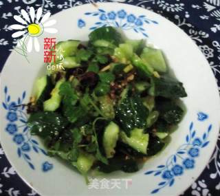 淋油黄瓜的做法步骤：7