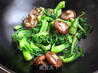 晚餐首选——【香菇青菜】的做法步骤：9