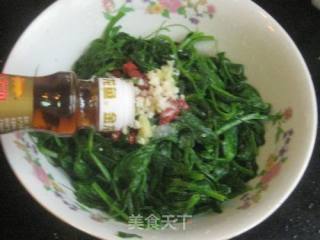 蒜泥凉拌豌豆苗的做法步骤：6