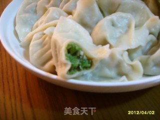 美味馅料之——猪肉馅的做法步骤：9