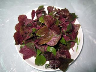 紫苏梅子蒸排骨的做法步骤：1