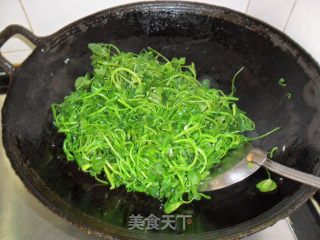 清炒草头的做法步骤：4