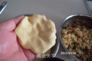 菜团子菜饺子的做法步骤：9