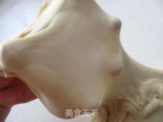 花一样的面包卷的做法步骤：2
